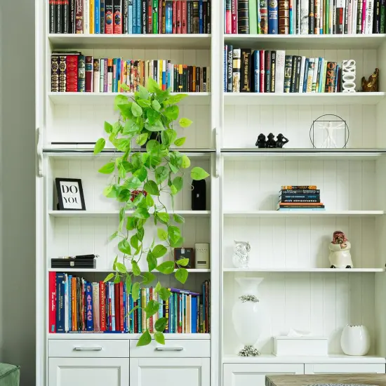 Faux Hanging Pothos with Ivy Vine - Pothos {3}