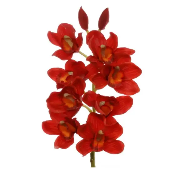 Red 30" Cymbidium Orchid Stem {1}