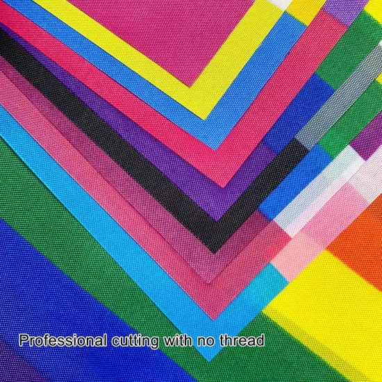 2 Packs Progress Rainbow Gay Pride Flag Banner String LGBTQ Inclusive Bunting Flags,66 Feet 60 Flags {5}