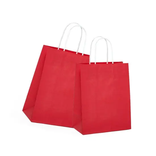 Spacious Bright Matte Shopping Bag with White Interior 10" x 5" x 13" {4}