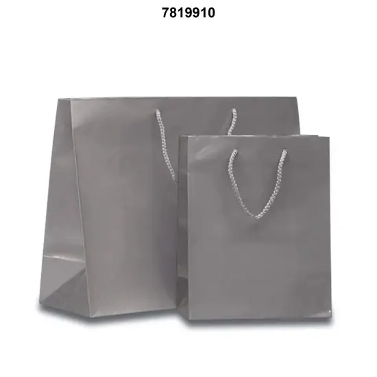 High-Gloss Mini Paper Totes 4 3/4'' x 2 3/4'' x 6 3/4'' for Stylish Gifts Non-Metallic Silver {3}