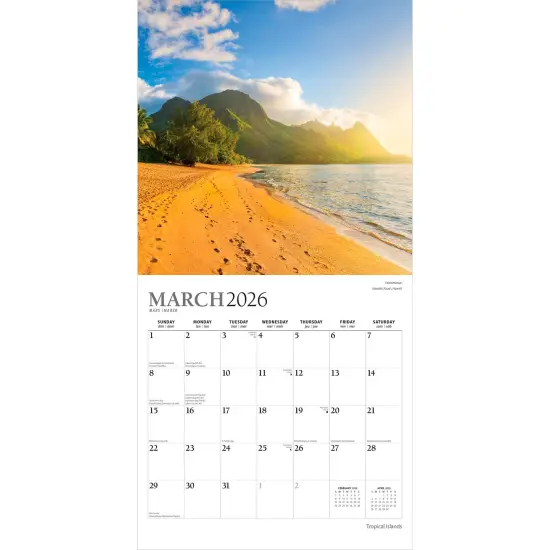 Tropical Islands | 2026 12 x 24 Inch (Hanging) Monthly Square Wall Calendar | Foil Stamped Cover {3}
