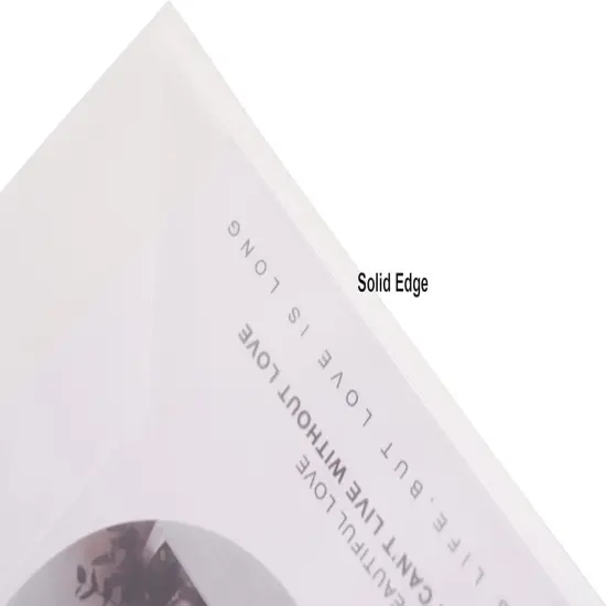 Clear Large Plastic Envelopes {4}