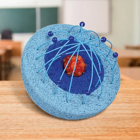 FloraCraft CraftFM Half Ball-3.8"X7.8" {5}