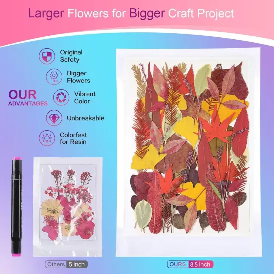 A5 Large Bulk Fall Dried Pressed Leaves {2}