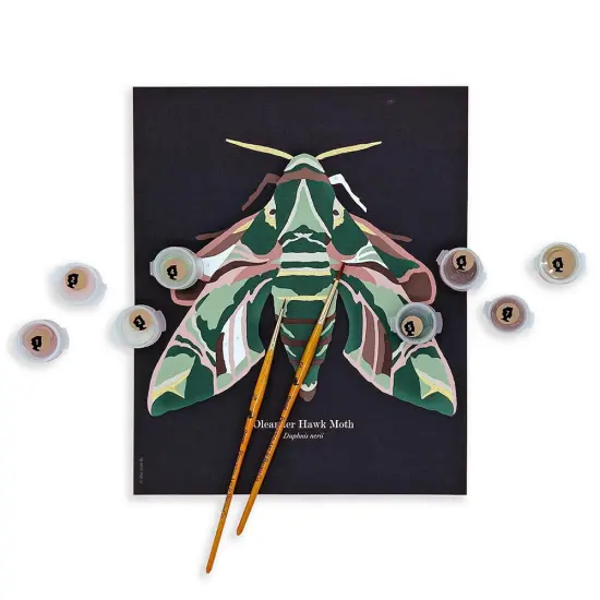 Oleander Hawk Moth | 8x10 paint-by-number kit {2}