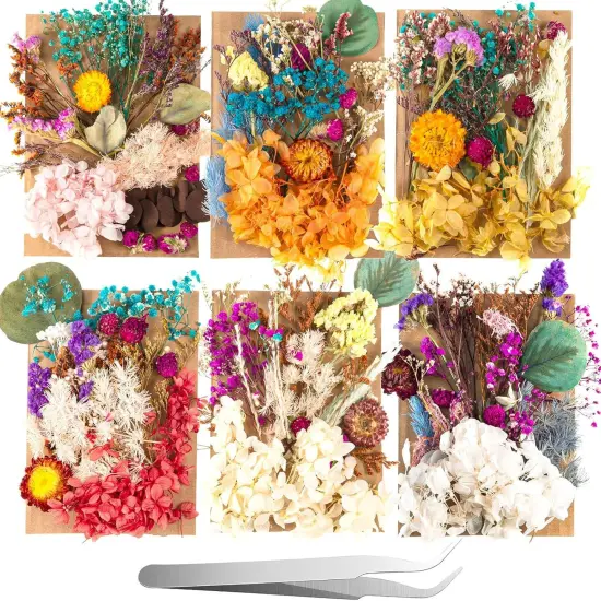 200 Pcs Natural Dried Pressed Flowers and Leaves Resin {1}