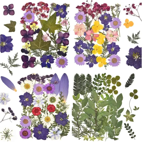 100Pcs Purple Dried Pressed Flowers for Resin Molds {1}