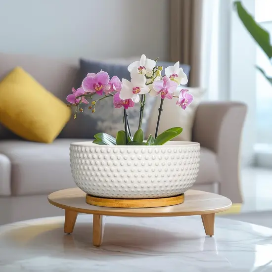 8" Ceramic Bonsai Pot &ndash; Round Indoor Planter with Drainage & Tray for Succulents & Decorative Plants {6}