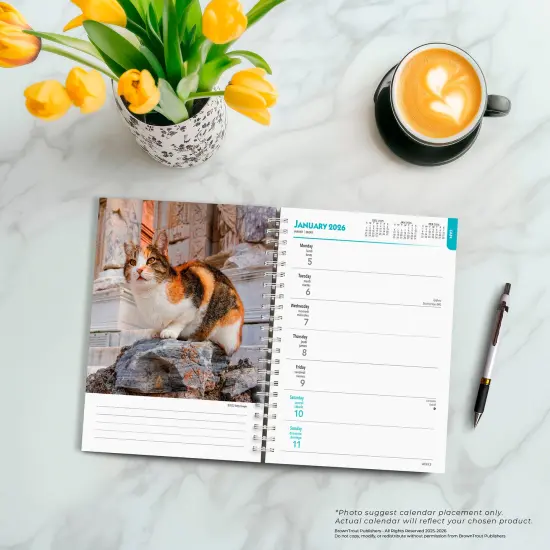 Cat Lovers | 2026 6x7.75 Inch Spiral-Bound Wire-O Weekly Engagement Planner Calendar | New Full-Color Image Every Week {5}