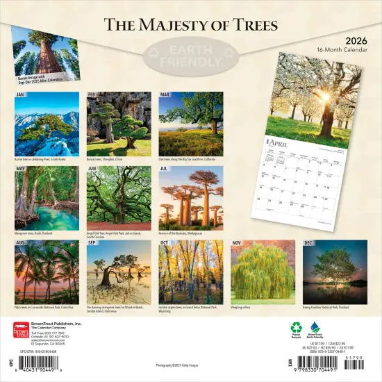 The Majesty of Trees | 2026 12 x 24 Inch (Hanging) Monthly Square Wall Calendar | Plastic-Free {2}