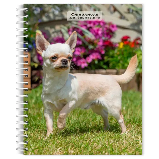 Chihuahuas | 2026 6x7.75 Inch Spiral-Bound Wire-O Weekly Engagement Planner Calendar | New Full-Color Image Every Week {1}