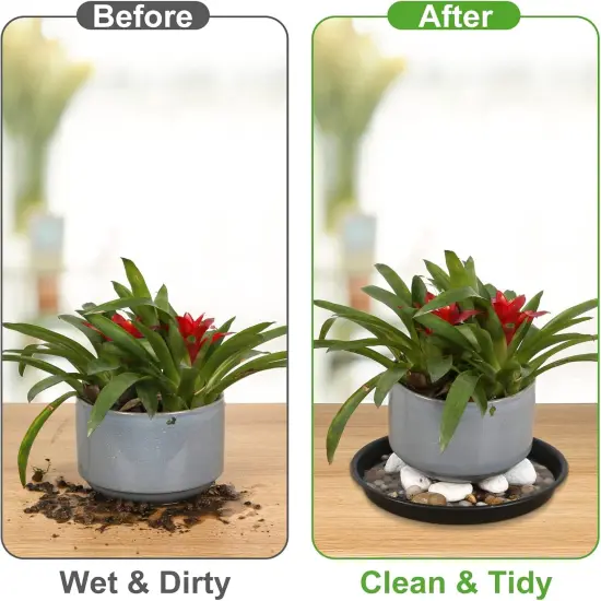 4 Pack 14Inch Plant Saucer Plastic {2}