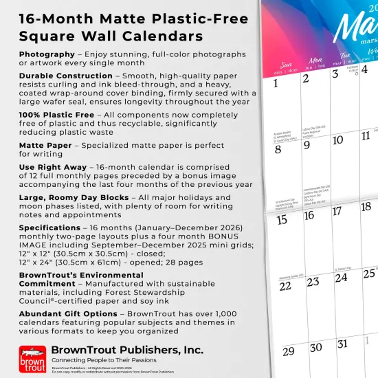 Big & Bright Large Print | 2026 12 x 24 Inch (Hanging) Monthly Square Wall Calendar | Matte Paper | Plastic-Free {6}