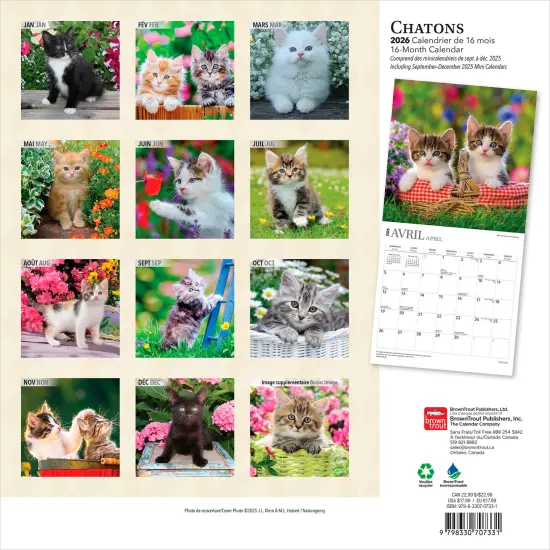 Chatons | 2026 12 x 24 Inch (Hanging) Monthly Square Wall Calendar | French Language {2}