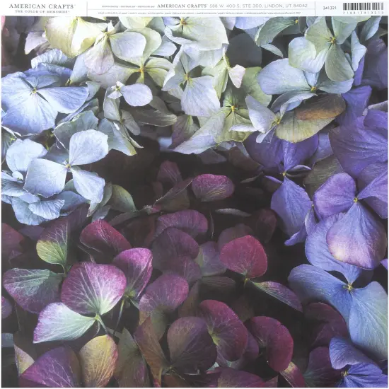 American Crafts Floral Single-Sided Cardstock 12"X12"-Hydrangeas {1}