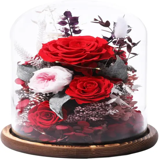 Prime Preserved Flowers Rose in Glass Dome {1}