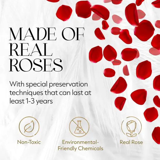 Rose Flowers Forever Decor for Birthday Gift - Red - 9-Piece {2}