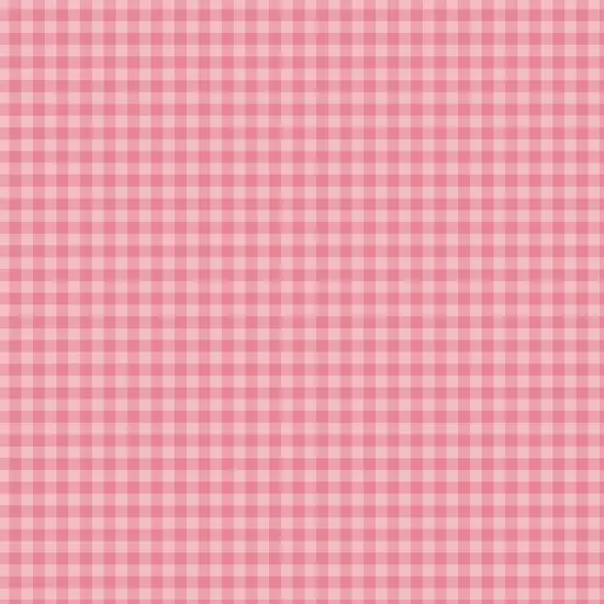 Bold Gingham Double-Sided Cardstock 12"X12" {1}
