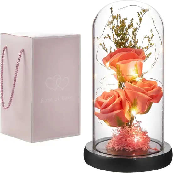 Preserved Flower Gift, Light Up Rose in Glass Dome {1}