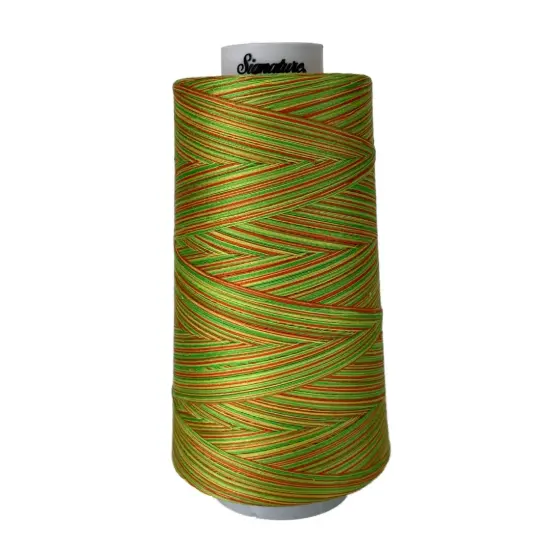 M10 Citrus Signature Cotton Variegated Thread {1}