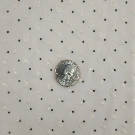 1 Yard Beige or Charcoal Clip Dot Chiffon Lightweight Sheer Polyester Fabric for Dresses, 57/58" Wide {4}