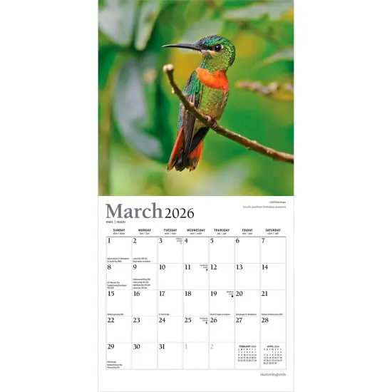 Hummingbirds | 2026 7 x 14 Inch (Hanging) Monthly Mini Wall Calendar | Foil Stamped Cover {3}