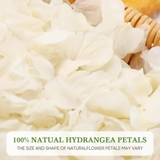 1500pcs Real Dried Ivory White Hydrangea Flower Petals, Natural Dried Petals for Wedding Decor, Valentine's Day, Proposal & Romantic Night {2}