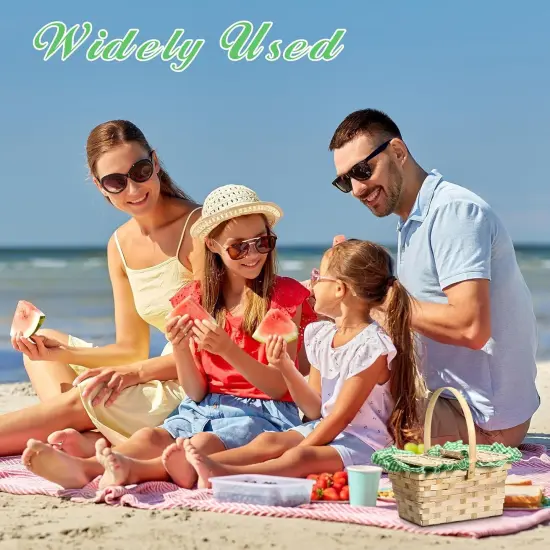 Mini Picnic Basket with Lid and Handle Small Gingham Woven Picnic Hamper (Green and White) {5}