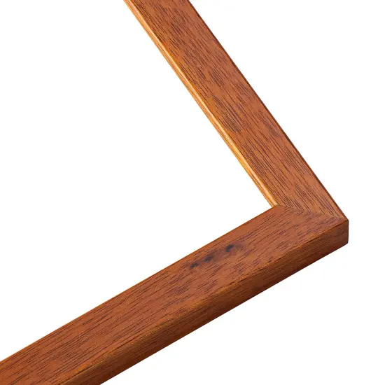 Modernist Brown Picture Frame - UV Acrylic, Backing Board, Hanging Hardware Included {2}