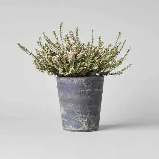 Basic Planter, Grey Patina | No Tray | Size: Small by Bloomist {2}