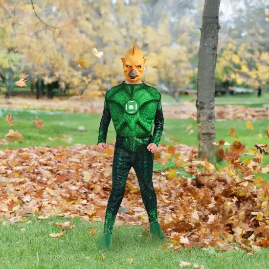 Rubies Boy's Green Lantern Tomar-Re Halloween Costume - Large 12-14- Green {4}