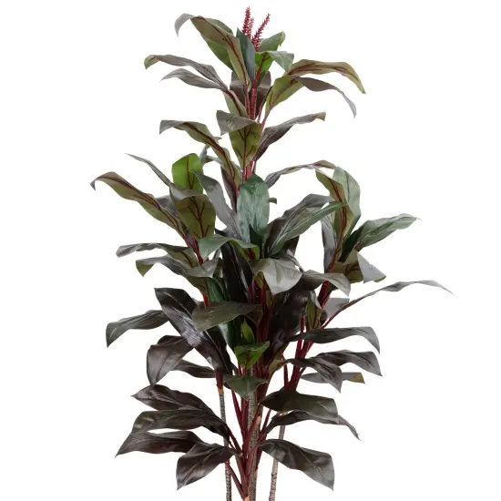 Northlight Potted Two-Toned Artificial Dracaena Plant - 60" Green {4}