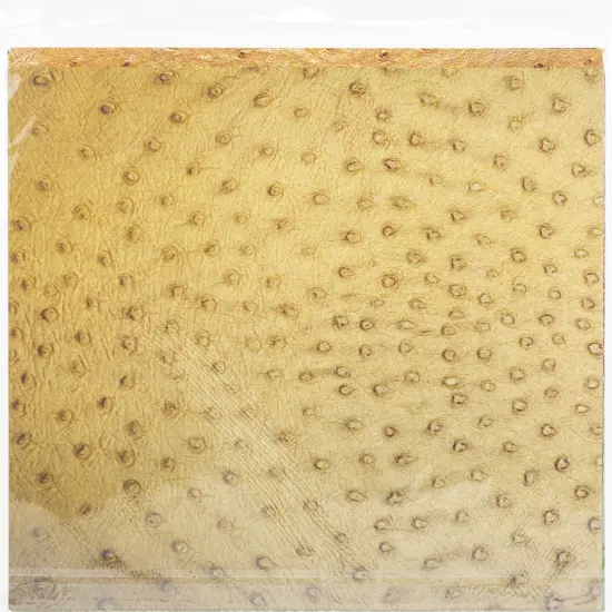 Ella & Viv Collection Kit 12"X12"-Animal Kingdom {3}