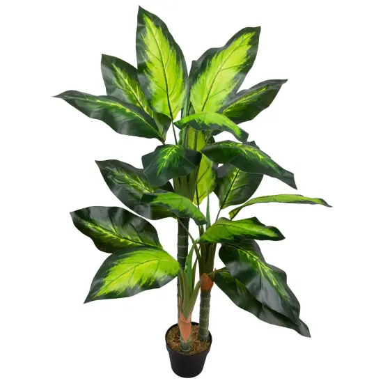 Northlight Wide Leaf Artificial Dieffenbachia Potted Plant - 51" Green {5}