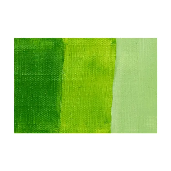 Charvin Fine Oil Paint, Bamboo Green 150ml - Elite Artists' Oils from French Riviera, Professional Finish, Artist Supplies, Smooth Finish, Nature-Inspired Tones, Archival Quality {3}