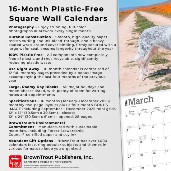 Australian Cattle Dogs | 2026 12 x 24 Inch (Hanging) Monthly Square Wall Calendar | Plastic-Free {6}