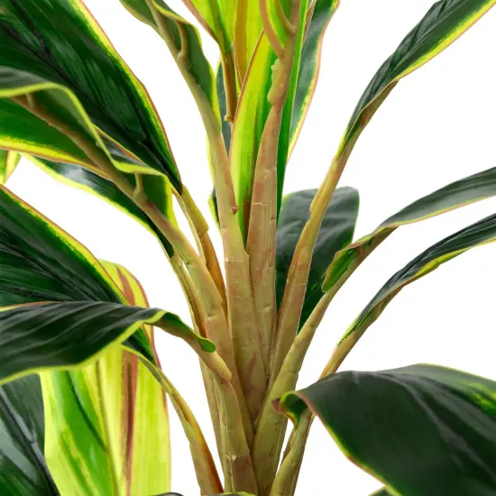Northlight Real Touch&trade;️Artificial Potted Two Tone Dracaena Plant - 4.5' Green {7}