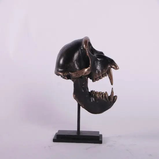 Monkey Macaque Skull Life Size Statue {4}