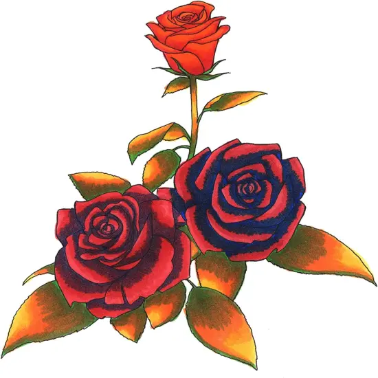 Alcohol Markers - 6 Colors Dual Brush Tip {2}