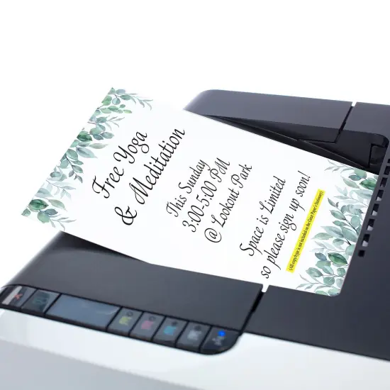 Great Papers! Elegant Eucalyptus Letterhead, for Invitations, Announcements and Personal Messages, Printer Friendly 8.5&rdquo;x11&rdquo;, 50 Pack {4}