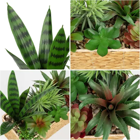 Artificial Succulent Plant Arrangement Centerpiece Assorted Fake Snake Succulents in Rectangular Woven Basket 12" Faux Potted Succulents for Indoor Home Office Table Windowsill Shelf Decor {2}