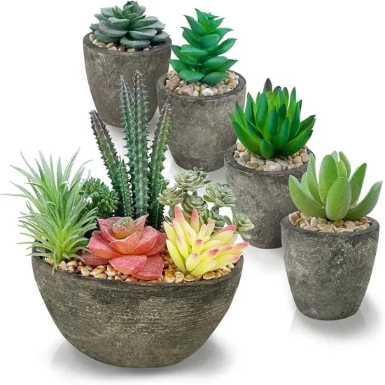 Succulents Plants Artificial Set of 5, Realistic Fake Succulents with Cement Like Pots for Home Office Decoration. {1}