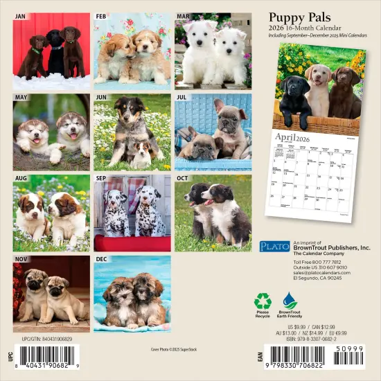 Puppy Pals | 2026 7 x 14 Inch (Hanging) Monthly Mini Wall Calendar | Foil Stamped Cover {2}