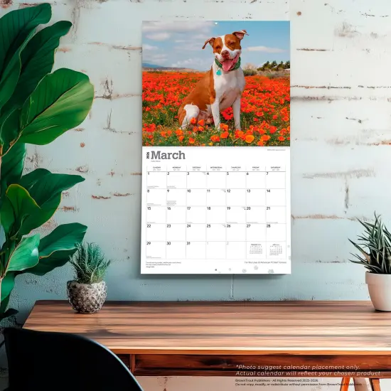 American Pit Bull Terriers | 2026 14 x 24 Inch (Hanging) Monthly Deluxe Wall Calendar | Plastic-Free {5}