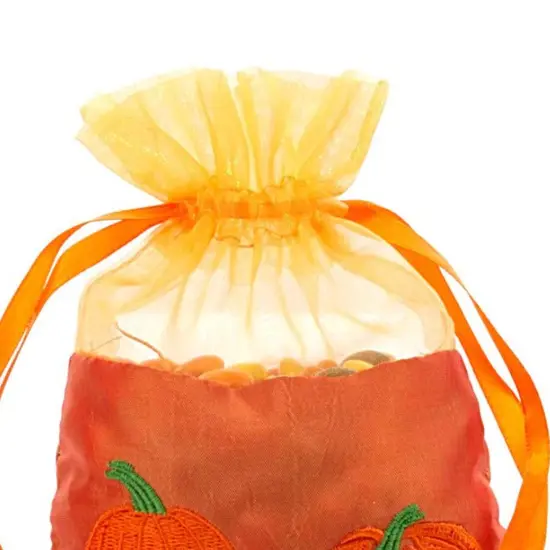 Pumpkin Taffeta Bag 5" x 6.5" Elegant Gift Wrap {4}