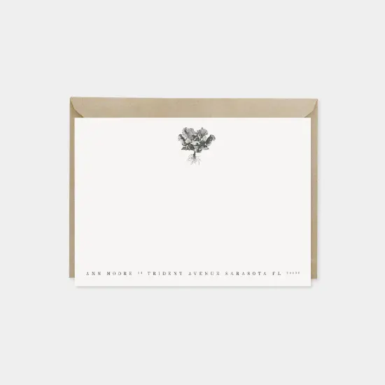 Cauliflower Botanical Note Cards {1}