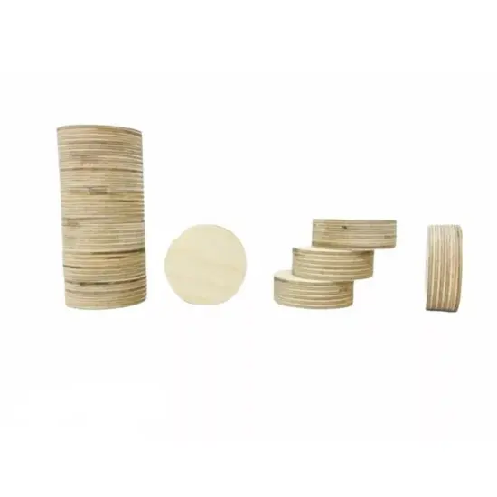 Kitcheniva 10 Pcs Thick Wood Circle Cutouts Wooden Blank Circles Crockpot Lid Crafts {5}