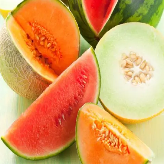 Melon - Premium Fragrance Oil {1}