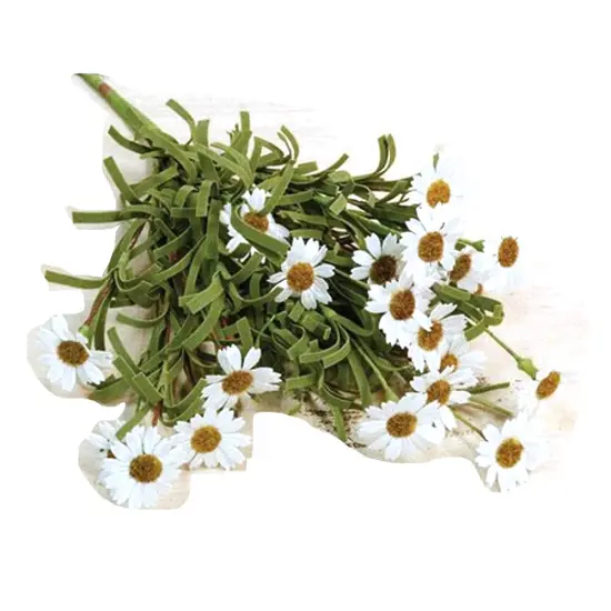 Mini Mountain Daisy Bush Teastain {3}